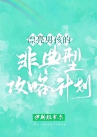 漂亮男孩非典型攻略100章