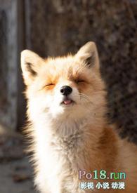 睡了反派男二之后(1v1) 作者岭南困了么