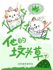 他的坟头草免费阅读